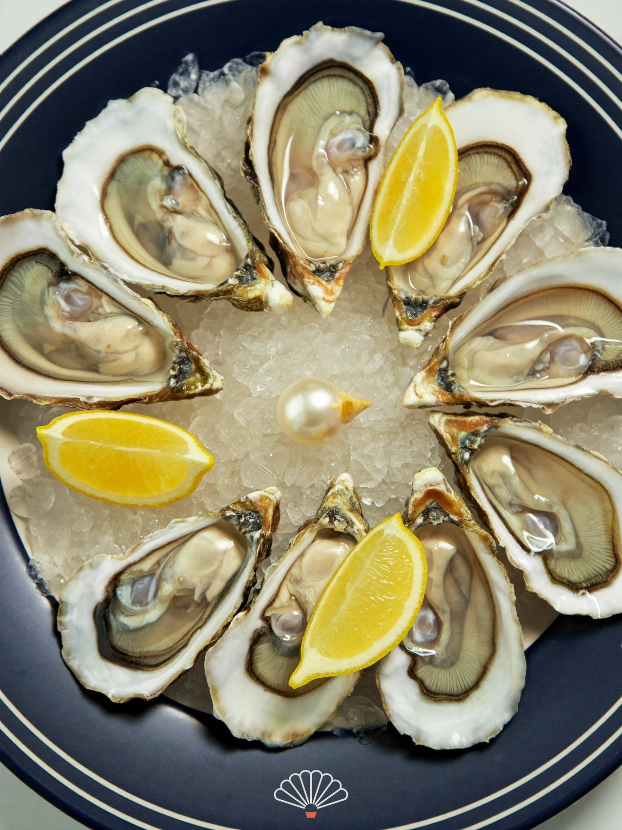 Oysters on crushed ice on a navy plate with the Marée shell printed on the rim