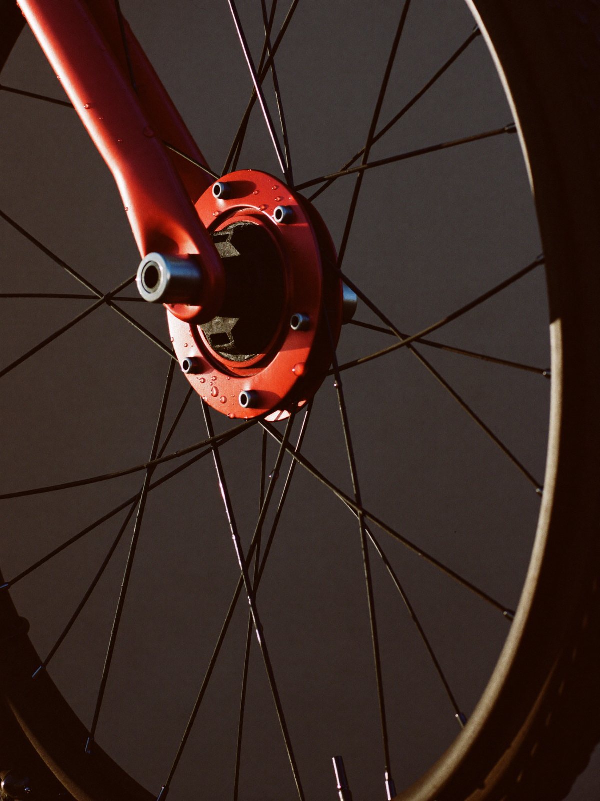 Close-up of a red hub flange and spokes on a dark wheel