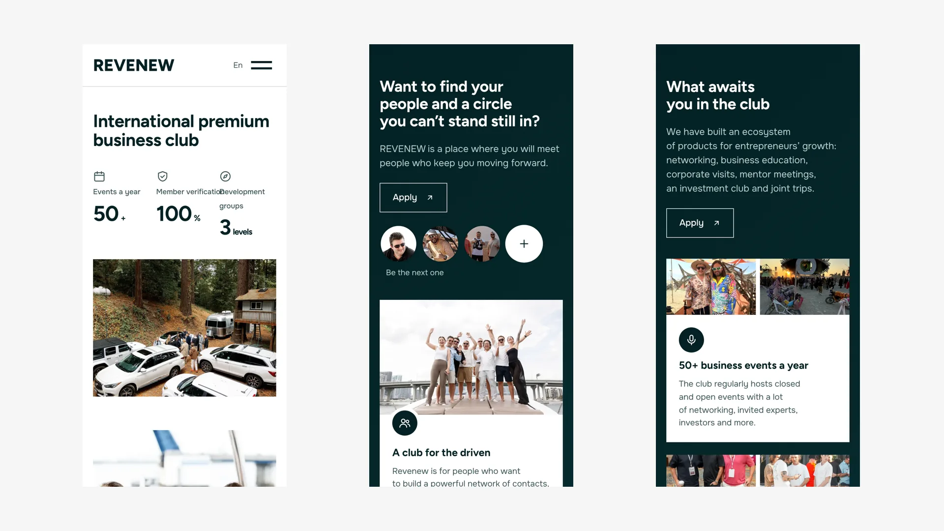 Revenew: mobile version, hero, introduction and offer screens